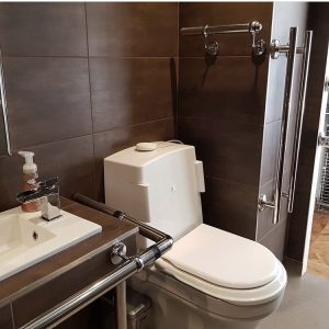 Toilet with elbow flush buttons and sink with chrome rails